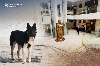 В Татарстане признали законным включение «отловщика» собак в реестр недобросовестных поставщиков