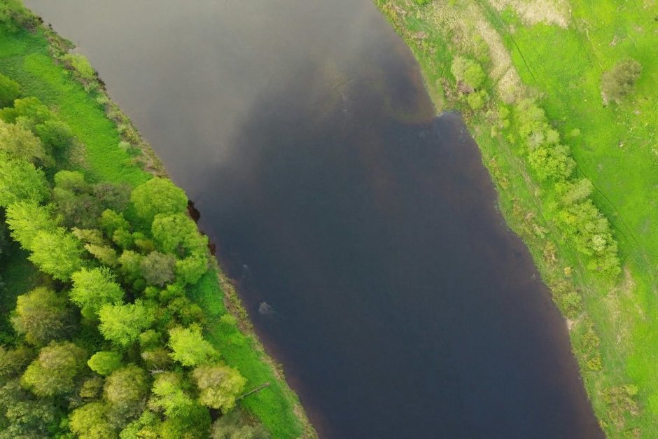 На проект расчистки Волги и восстановления зон подтопления в Займище потратят 15 млн рублей