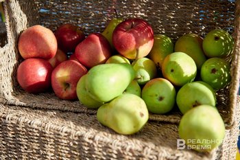 КНДР планирует поставлять в Россию яблоки и женьшень