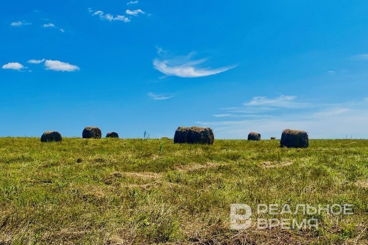 В Татарстане модернизируют информационную систему АПК