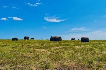 В Татарстане модернизируют информационную систему АПК