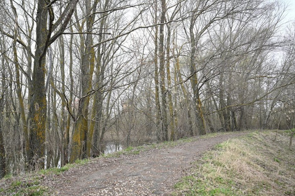 Прокуратура добилась ограждения скотомогильников в Агрызском районе