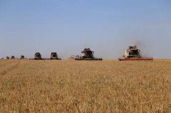 В Татарстане Россельхознадзор признал недействительными 70 деклараций на зерно