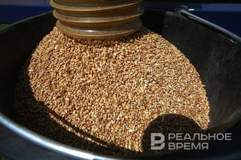 Татарстан экспортировал свыше 28 тысяч тонн зерна за рубеж