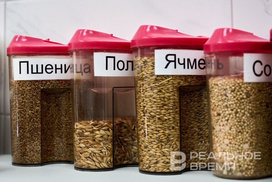 В Татарстане проверили 93% зерновых семян — 230 тыс. тонн