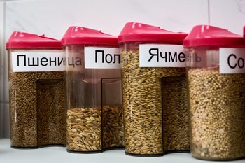 В Татарстане проверили 93% зерновых семян — 230 тыс. тонн