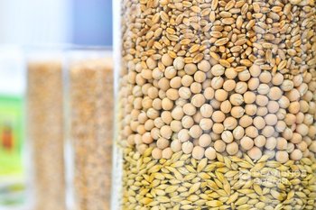 В Татарстане проверили более 600 тыс. тонн сельхозпродукции на ГМО