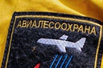 В России потушено 25 лесных пожаров