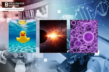 Искусственная сиреневая кровь, растворимый пластик, космический «мегасалют»