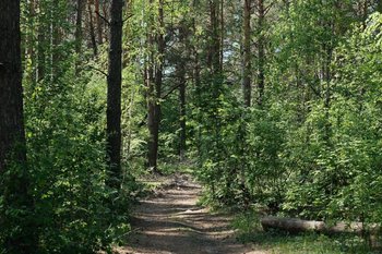 В Татарстане создадут сеть экологических троп в Волжско-Камском заповеднике