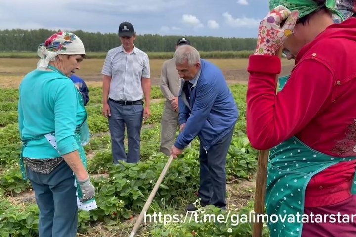 Раис Татарстана посетил фермерское хозяйство в Зеленодольском районе