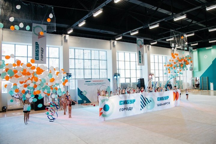 Денис Гусев: «Спортивные результаты связаны с надежностью партнера спортивного объекта»