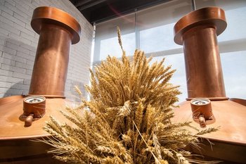 Татарстан укрепляет позиции в производстве пива