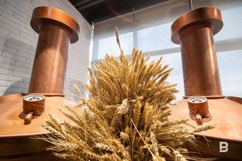 Татарстан занял пятое место среди регионов по объему потребления пива в 2024 году