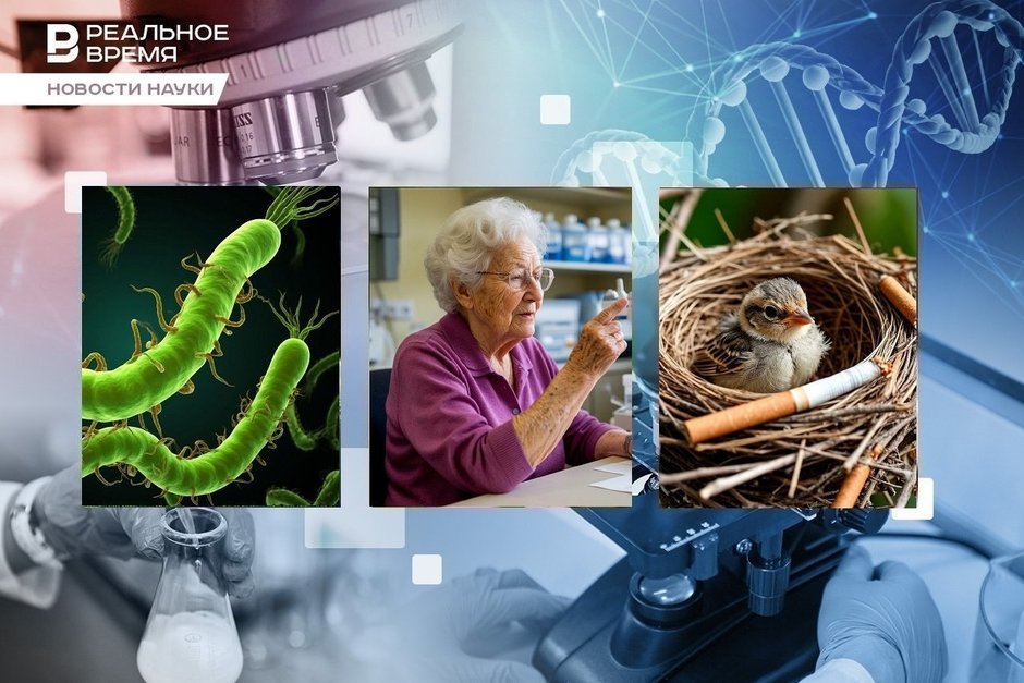 Окурки в птичьих гнездах, маркер биологического возраста, новый антибиотик против хеликобактера