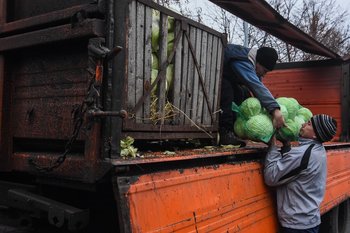 В Казани изъяли 5 тонн нелегальных товаров уличной торговли