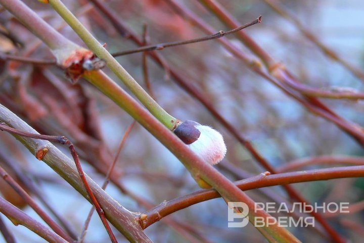 Аномальное тепло сохранится в Татарстане до конца этой недели