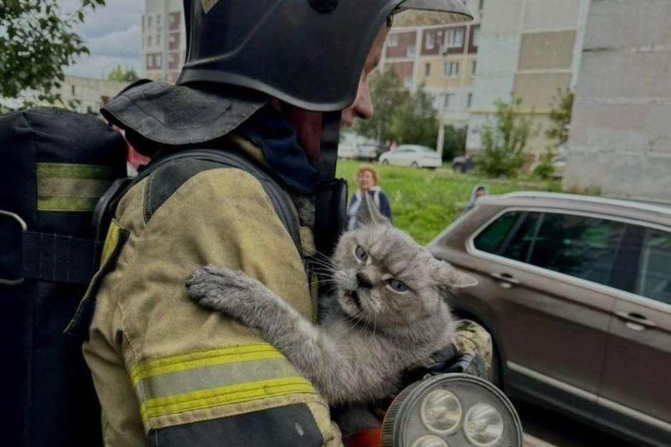 В Нижнекамске пожарные спасли кота из задымленной квартиры