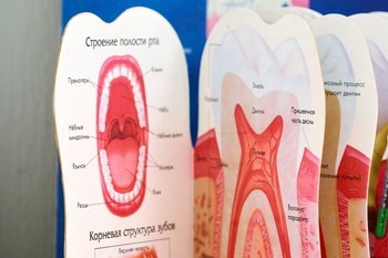 «Дальше цены вырастут в рамках инфляции»: услуги стоматолога в России подорожали до 26% за год