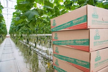 Бизнес-обзор: новые совладельцы «Майского» и чистопольского поставщика АвтоВАЗа