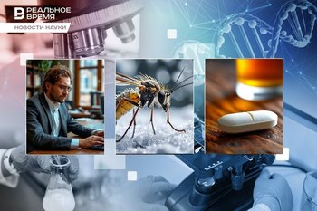 Антарктический комар, вредные трудоголики и таблетка от пьянства