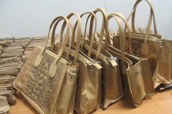 В Казани таможенники изъяли более 600 сумок из кожи крокодилов и змей