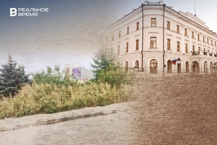 Кто расчистит улицы Казани от диких зарослей бурьяна и репейника?