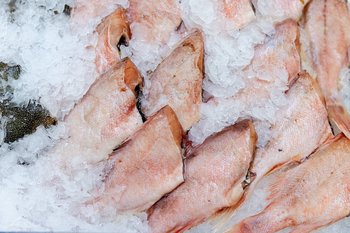 Россия резко сократила экспорт мороженой рыбы в ЕС