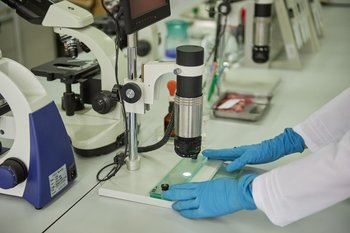 В продукции ООО «Птицефабрика Акашевская» обнаружили сальмонеллу