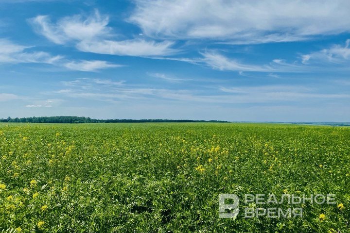 Сегодня в Татарстане ожидается до +28 градусов