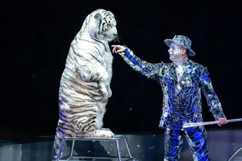 Гуманизм к животным или «очередная болтология»?