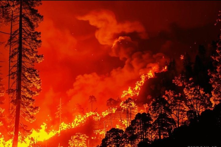 В России было потушено 39 лесных пожаров в 12 регионах