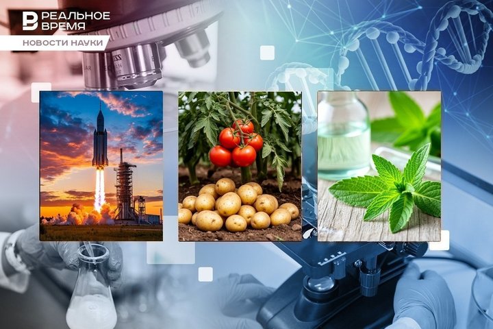 Дыры на Солнце, томатное происхождение картофеля, стевия против рака