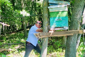 Пчеловоды Татарстана должны зарегистрировать свои пасеки до 1 сентября