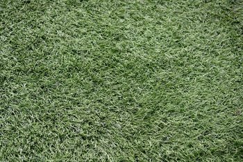 К середине весны спрос на услуги в сфере благоустройства и озеленения в Казани значительно вырос