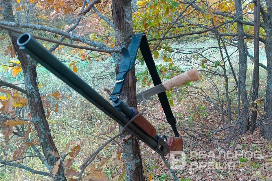 В Татарстане открыли сезон охоты на боровую и полевую дичь с подружейными собаками