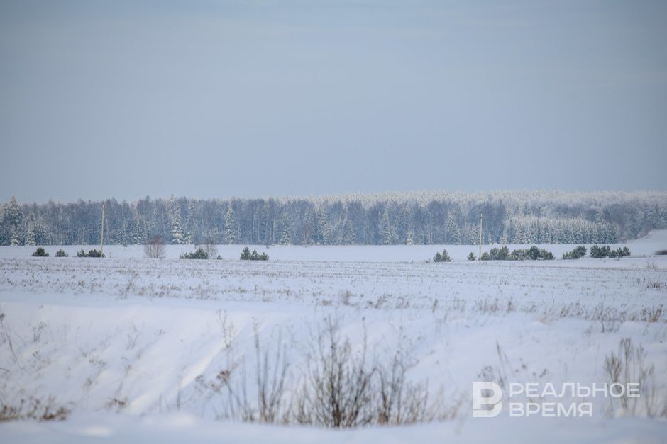 Сегодня в Татарстане ожидается до -20 градусов