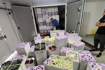 Россельхознадзор заподозрил реэкспорт армянских цветов через Иран
