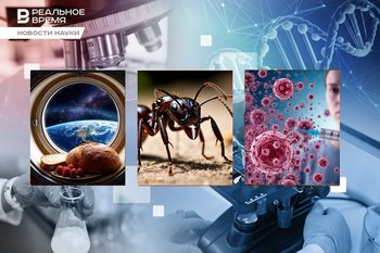 Самый древний муравей, угроза эпидемии кори, земляника на орбите