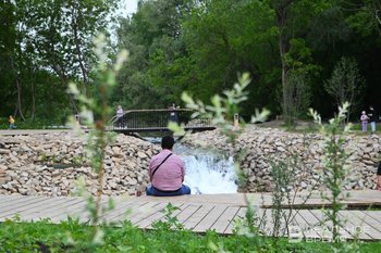 Больше трети офисных сотрудников в России не отдыхают из-за отсутствия друзей