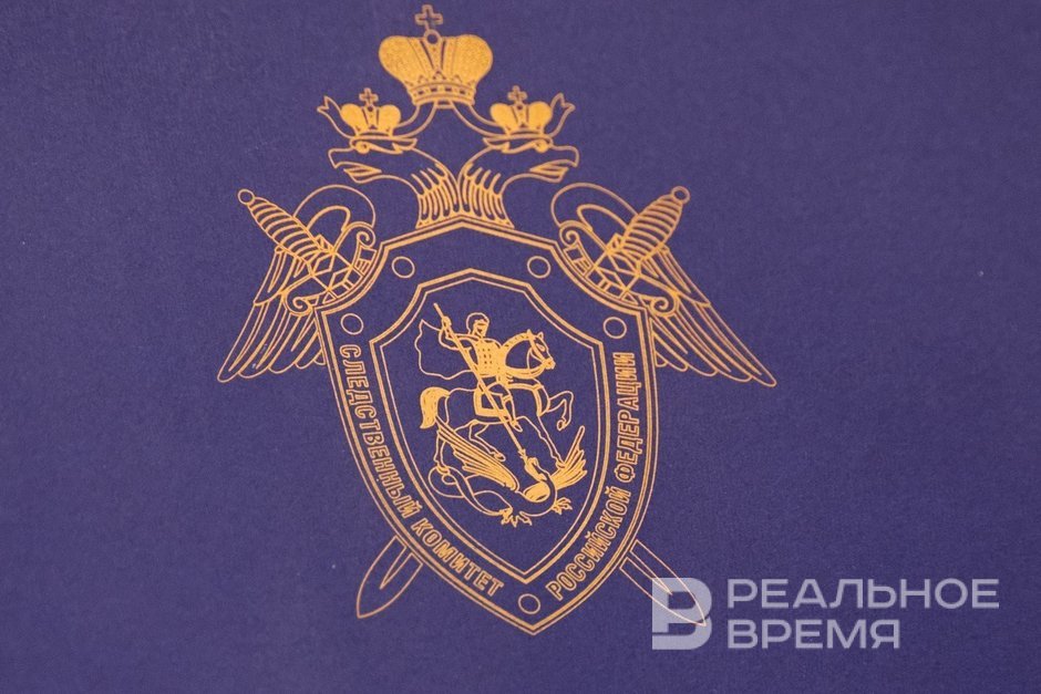 МВД по Татарстану выявило факт уклонения от уплаты налогов на 22 млн фирмой «Сапфир»