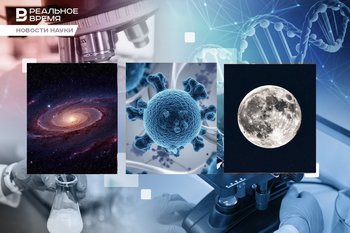 Рождение Луны, встреча с темной материей, 9 месяцев со свиной почкой