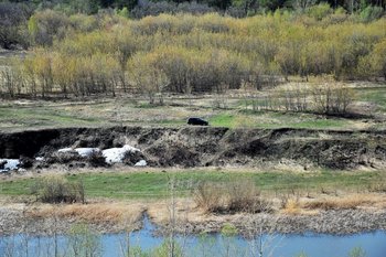СКР по РТ завершил расследование уголовного дела о незаконной вырубке леса