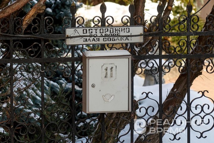 Две собаки на самовыгуле растерзали домашнюю кошку в Тукаевском районе