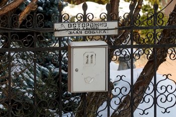 Две собаки на самовыгуле растерзали домашнюю кошку в Тукаевском районе