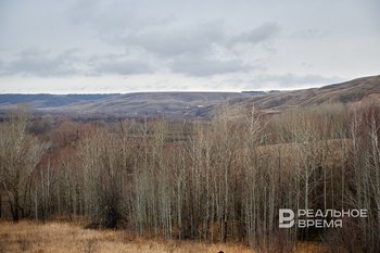 Татарстанцев предупредили о заморозках до -2 градусов