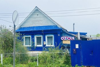 Экономист допустил закрытие маркетплейсов и сельских магазинов в России