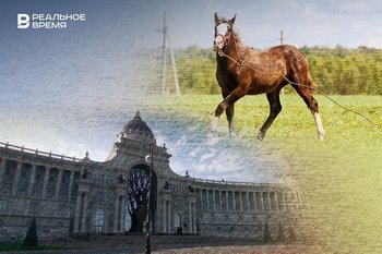 В Татарстане анонсировали новую программу развития коневодства