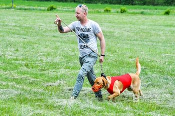 Собаки-проводники в Татарстане: мифы и реальность о помощниках незрячих людей