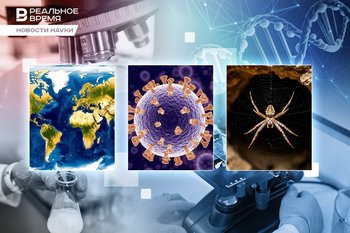 Кошмар арахнофоба, атлас древнеримских дорог, лекарство от рака